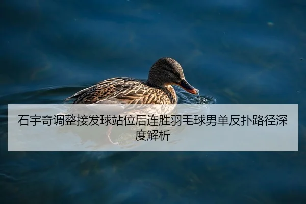 石宇奇调整接发球站位后连胜羽毛球男单反扑路径深度解析